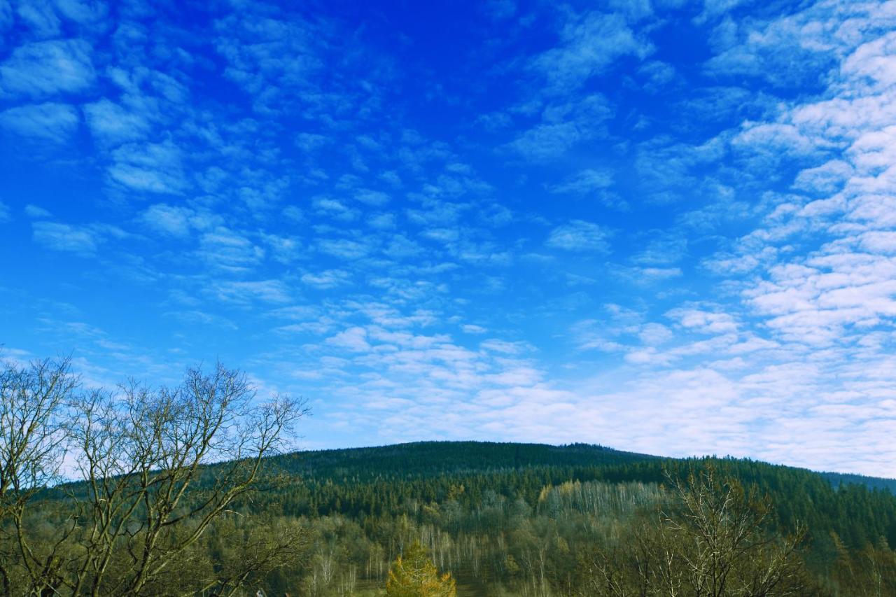 Willa Ostoja Wellness Świeradów-Zdrój エクステリア 写真